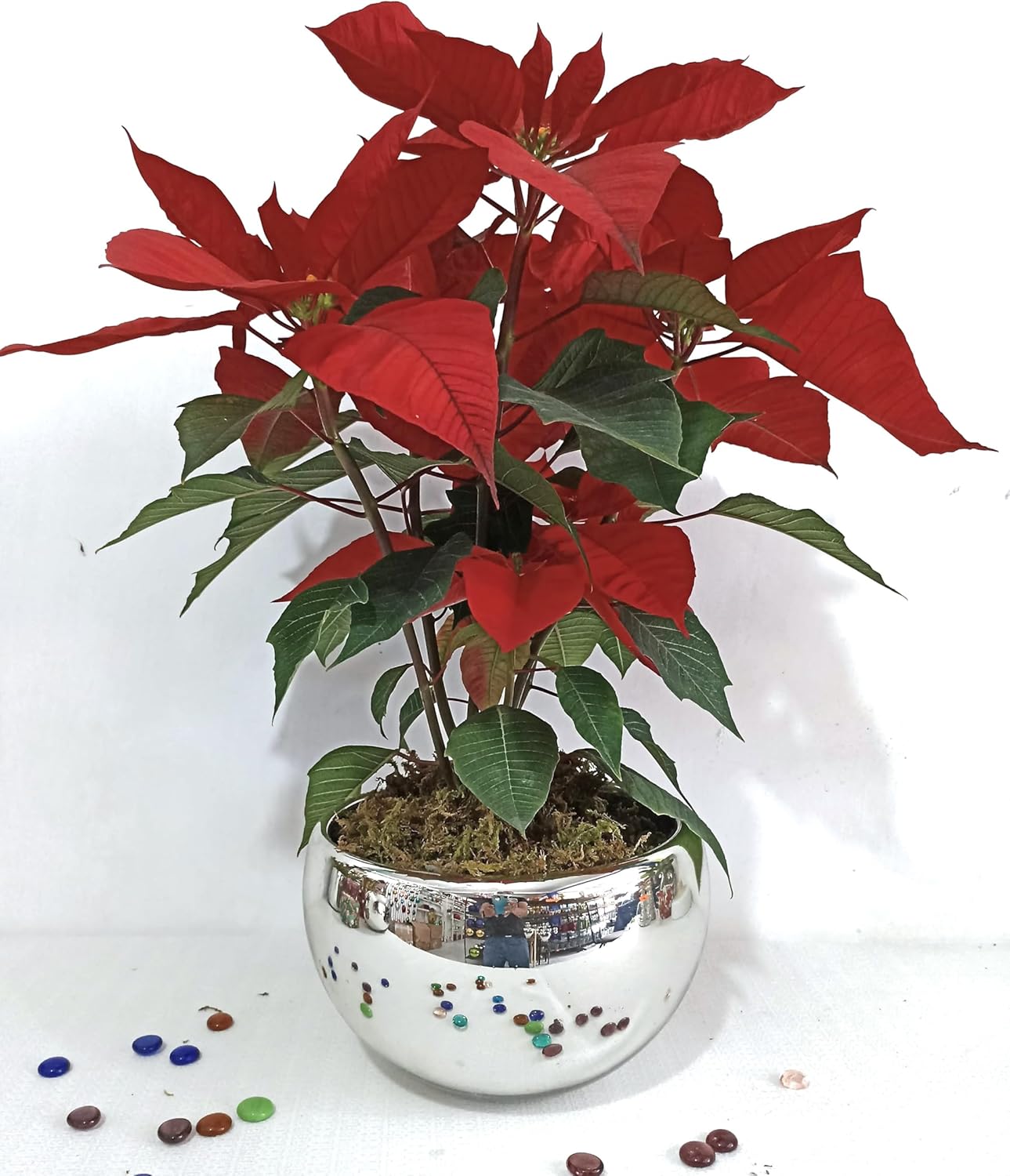 Maceta Plateada de Vidrio Soplado Tipo Bowl - Imagen 3