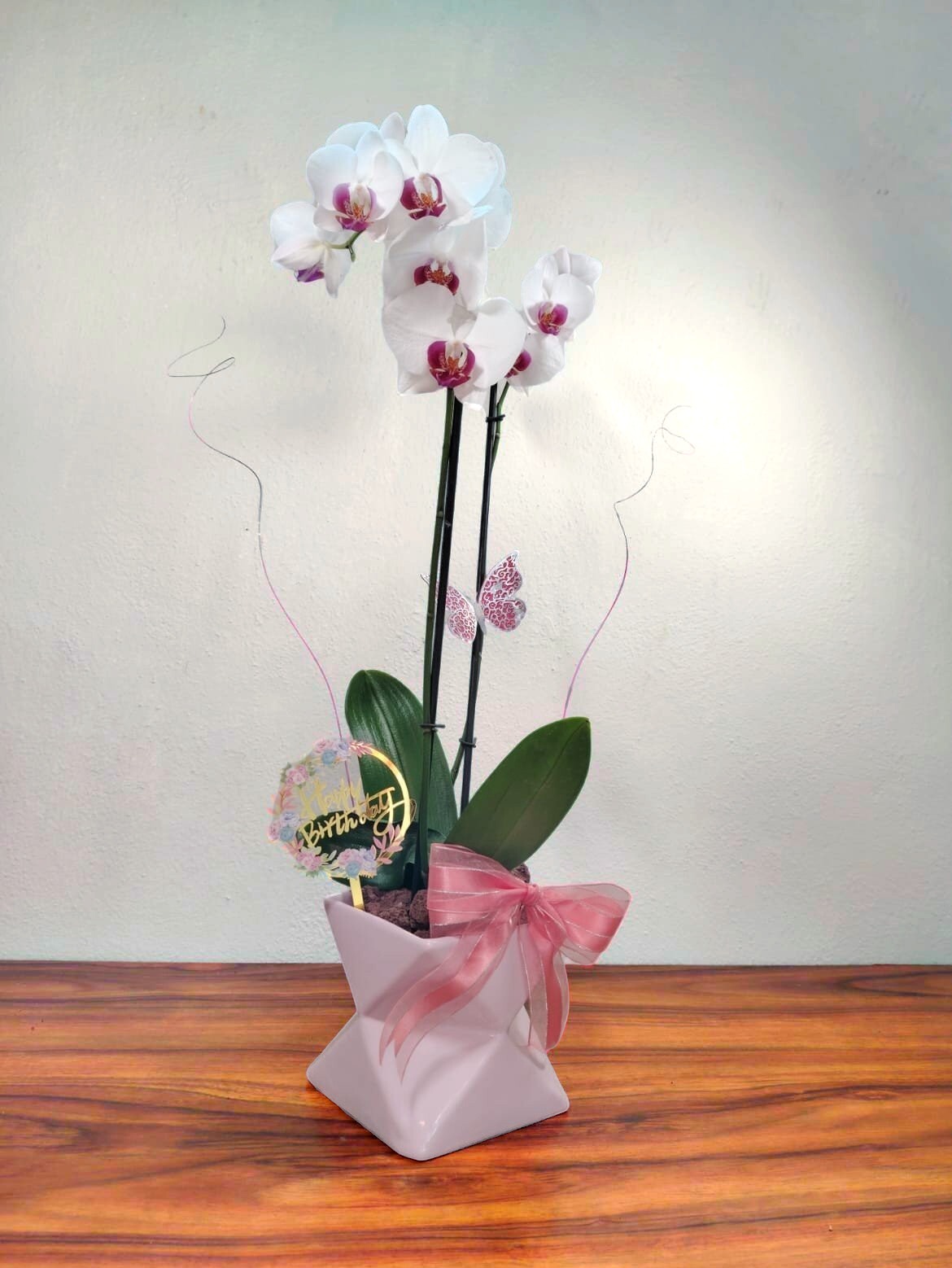 Orquidea Janeiro de diferentes colores