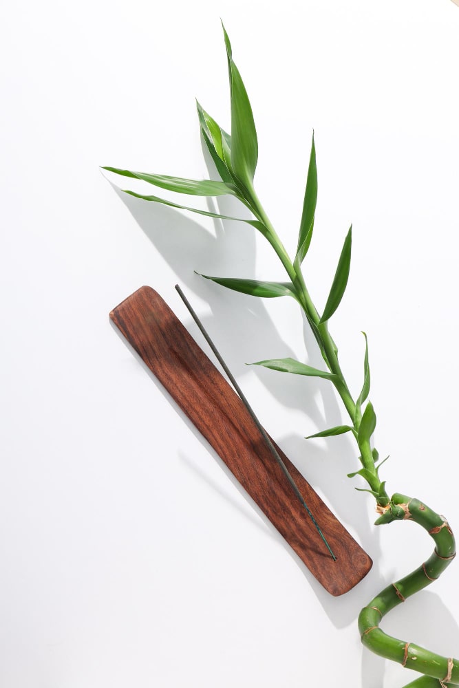 Bambú de la suerte a domicilio - Imagen 2