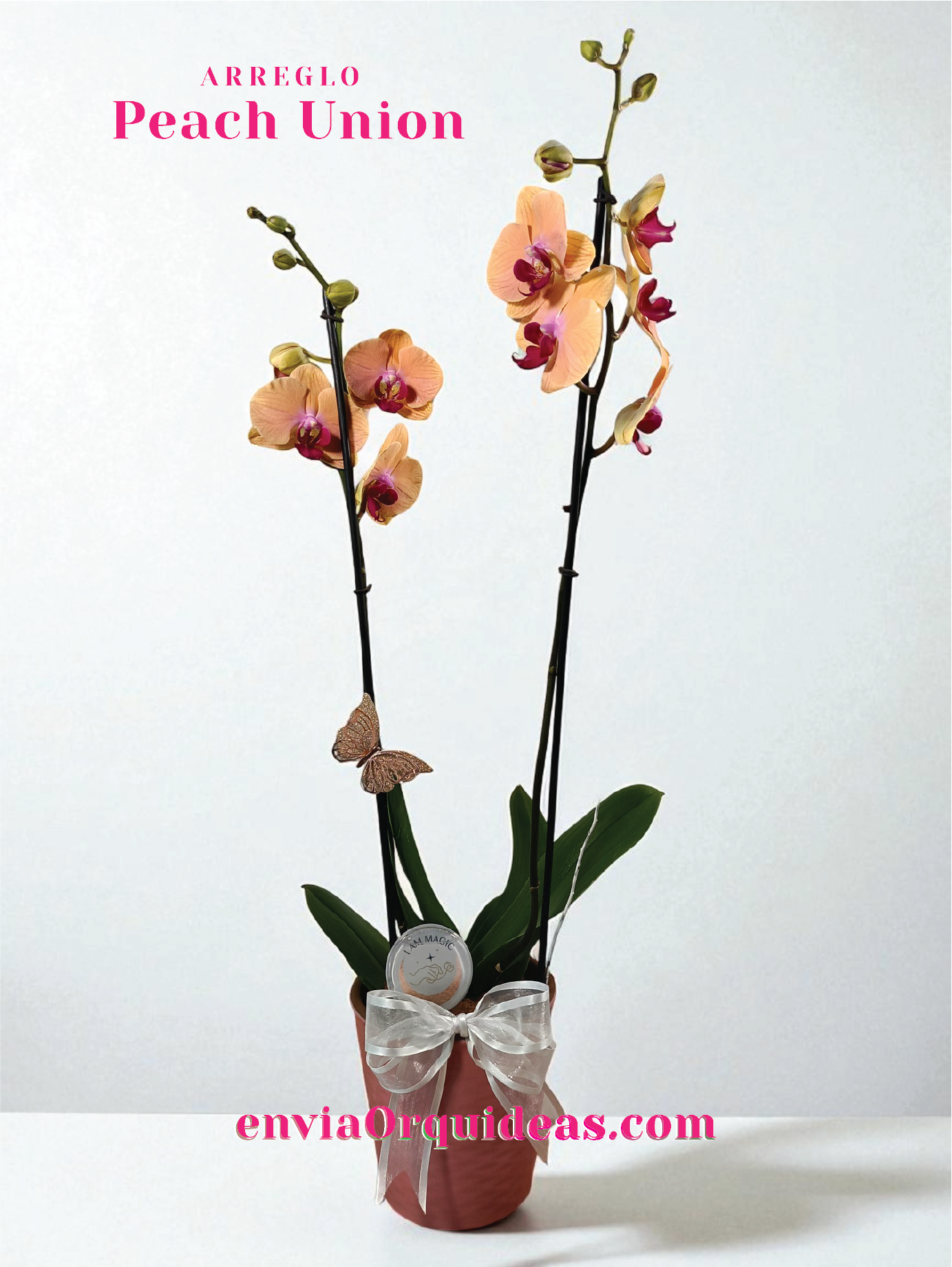 Arreglo Peach Union Cerámica