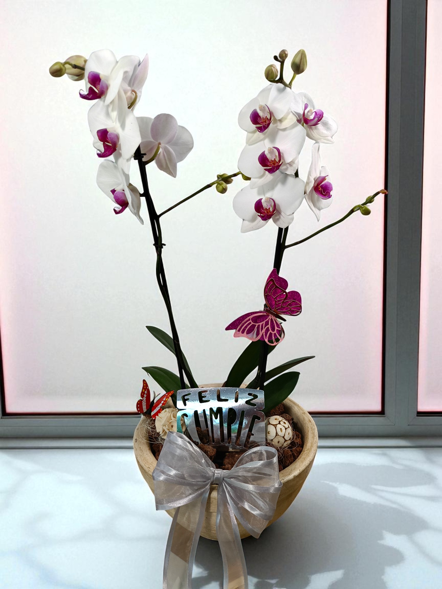 Arreglo Dulce Noviembre