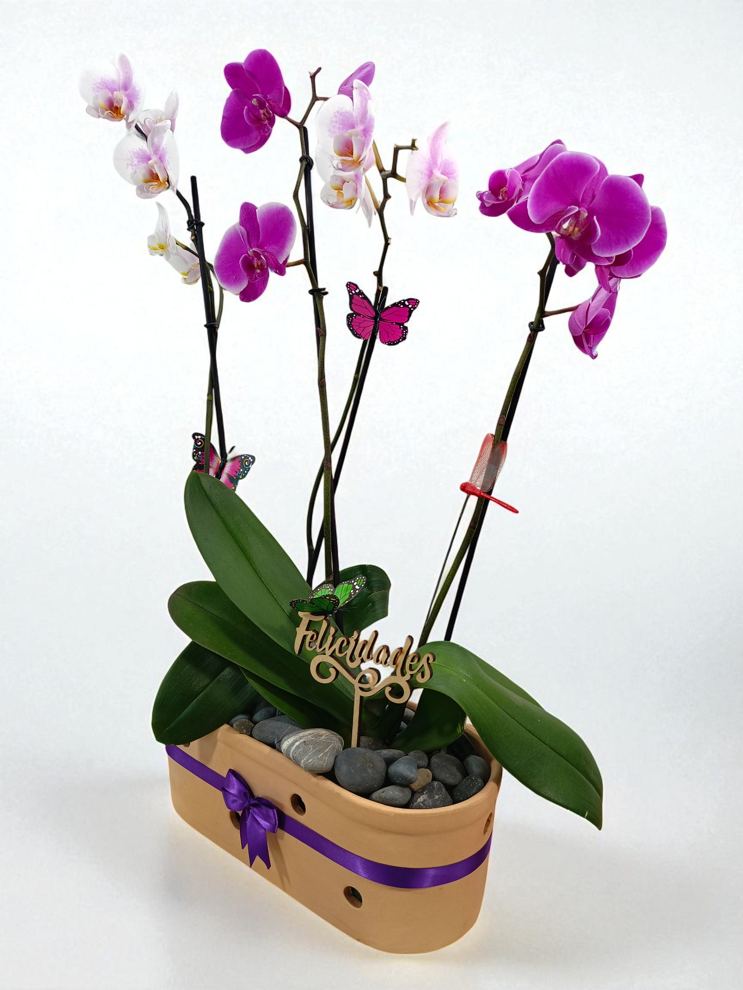 Arreglo Rústica Primaveral - Imagen 2