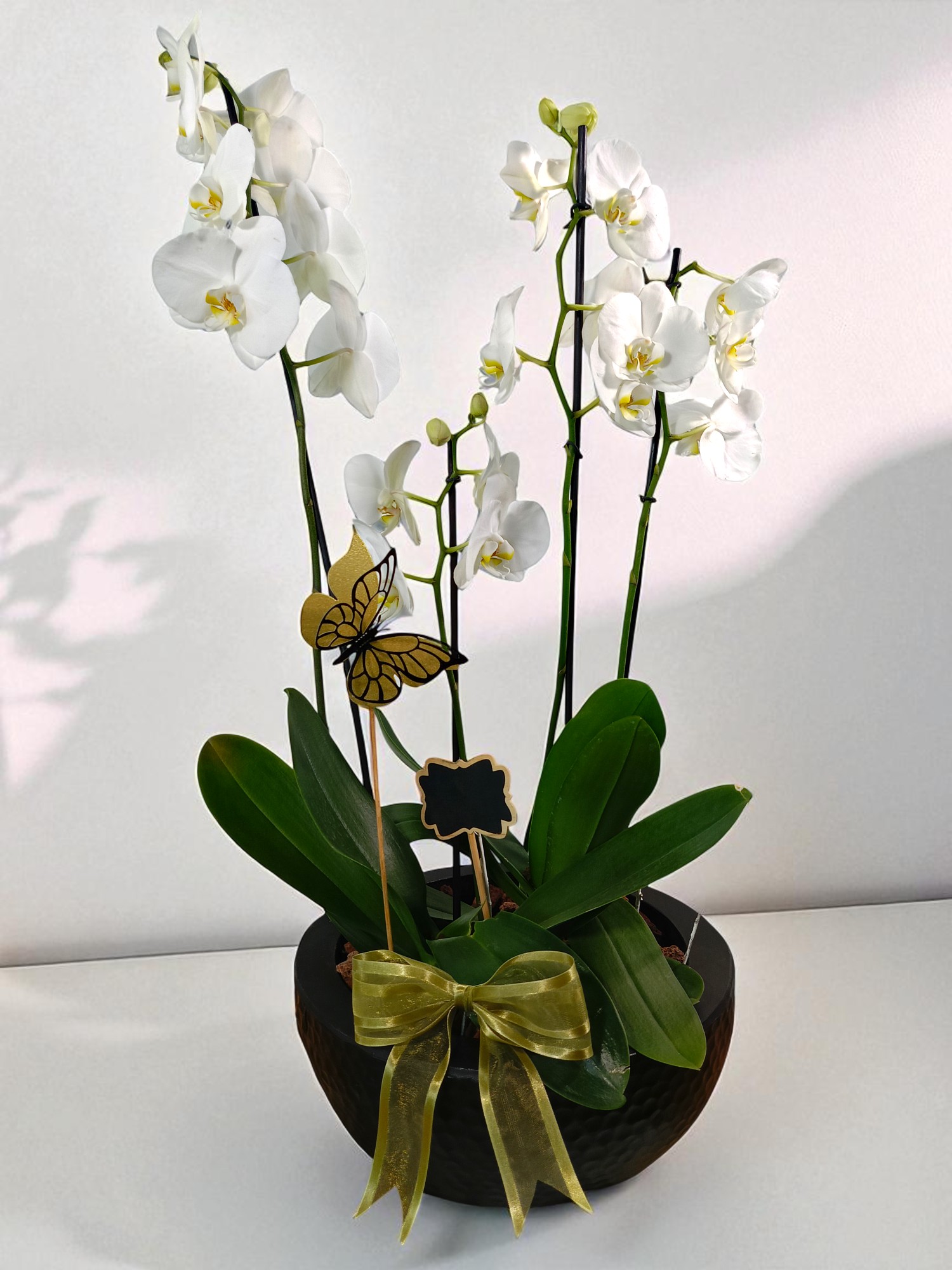 Arreglo Amor Infinito