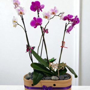 Arreglo Rústica Primaveral