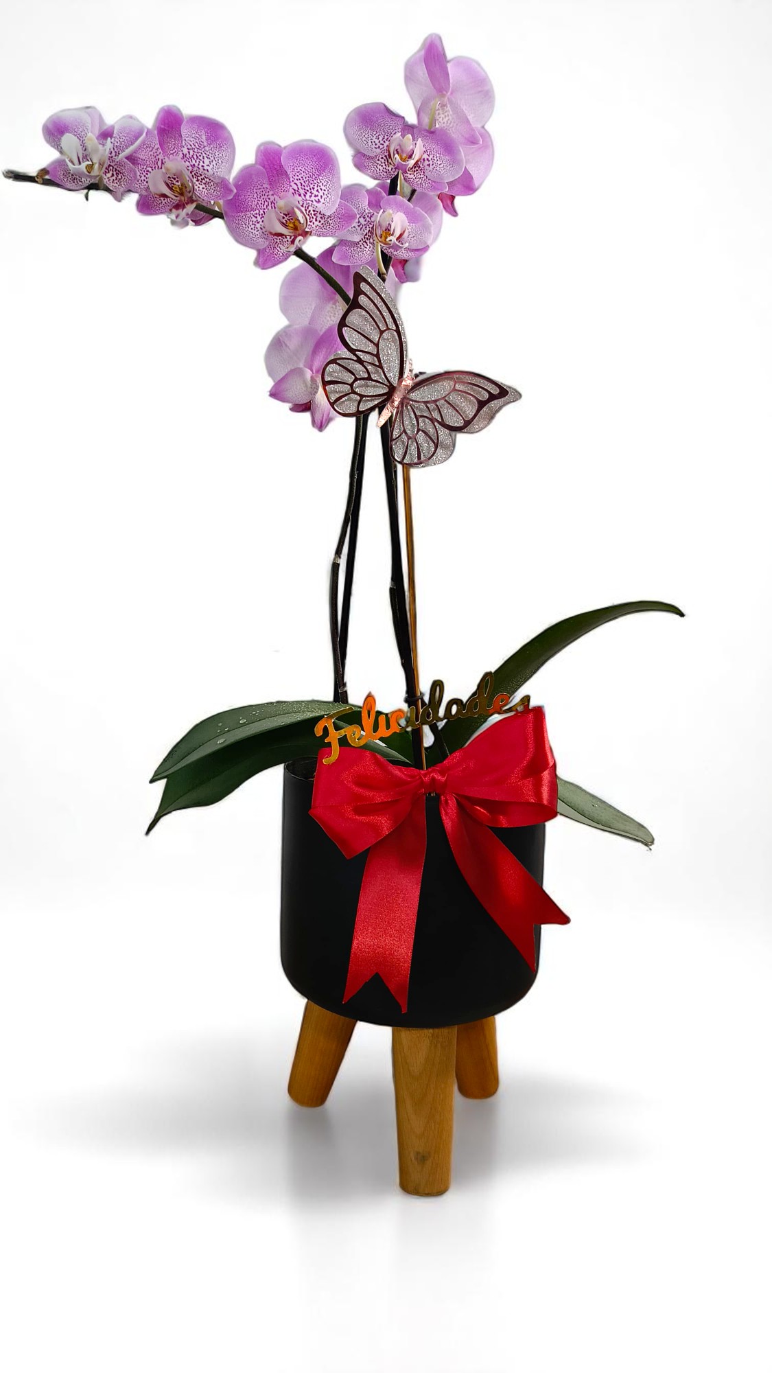 Personaliza tu Orquídea