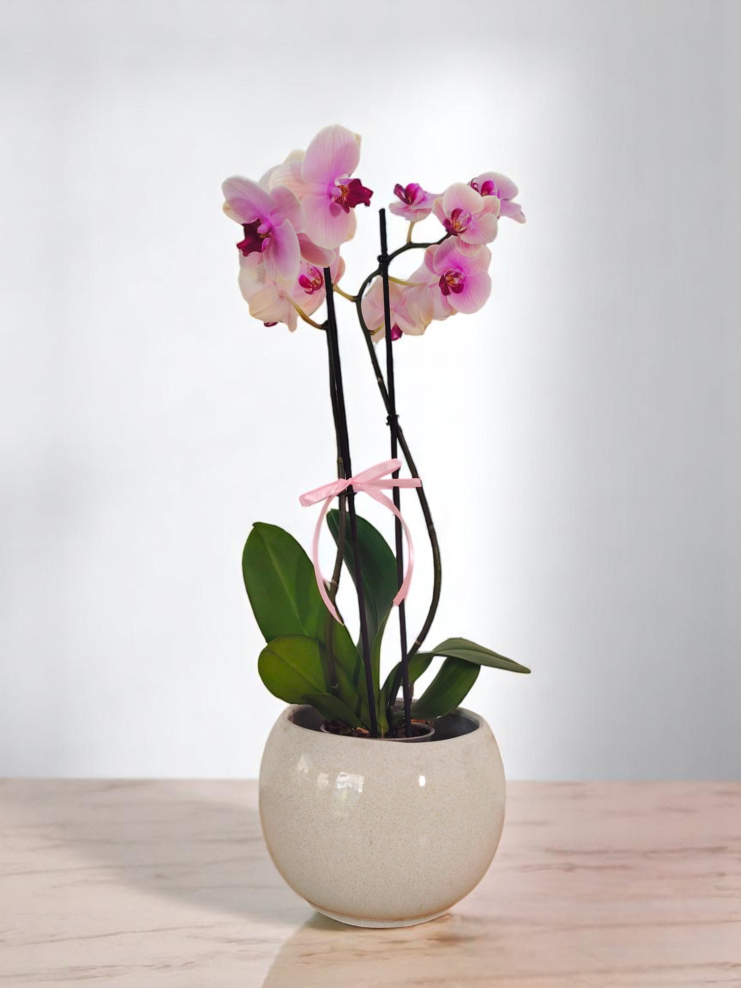 Personaliza tu Orquídea - Imagen 3