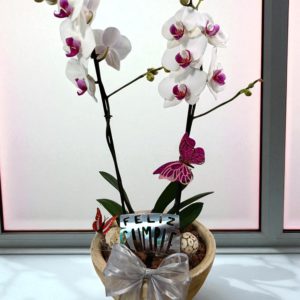 Arreglo Dulce Noviembre