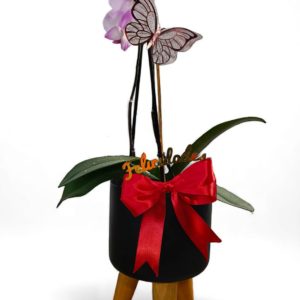 Personaliza tu Orquídea